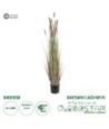 GloboStar® Artificial Garden BROWN LAGURUS 21101 Διακοσμητικό Φυτό Καφέ Λαγοουρά Υ140cm